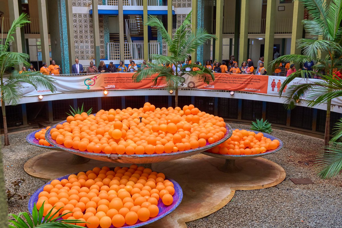 UN Women Zimbabwe tweet media