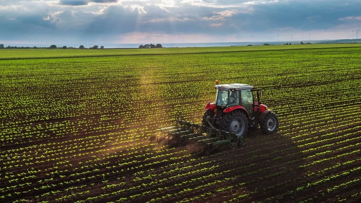 NacionalAM870's tweet image. 📢 El Gobierno anunció una nueva baja de retenciones a los granos.

El vicepresidente de la Sociedad Rural Argentina, Marcos Pereda Born, charló con @nicoyacoy y el equipo de #VivaLaPepa.

👉🏻 radionacional.com.ar/el-gobierno-an…