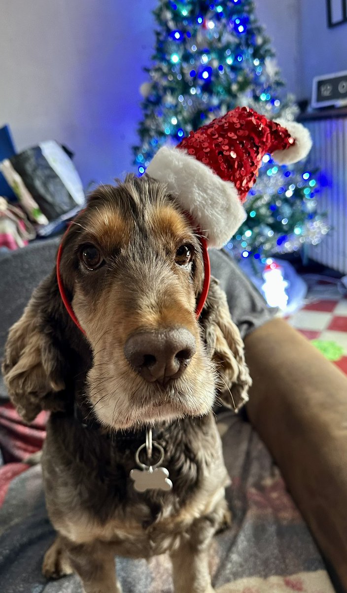 B’jour!!
Ça n’en finit plus ces conneries🙄