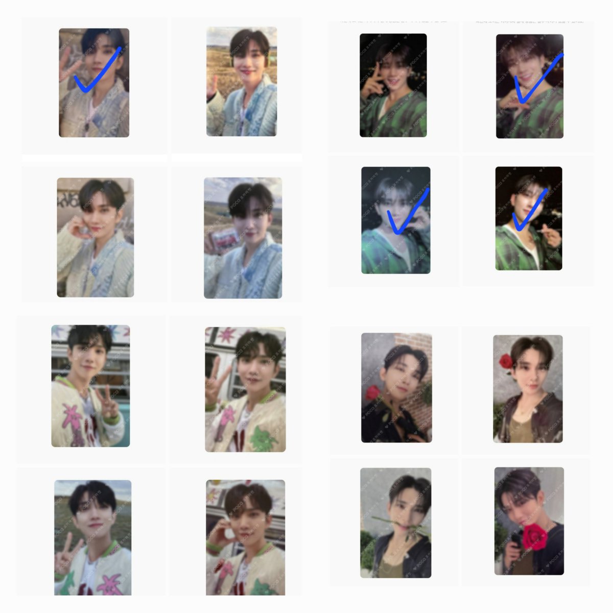 Cherrydan🍒 tweet media