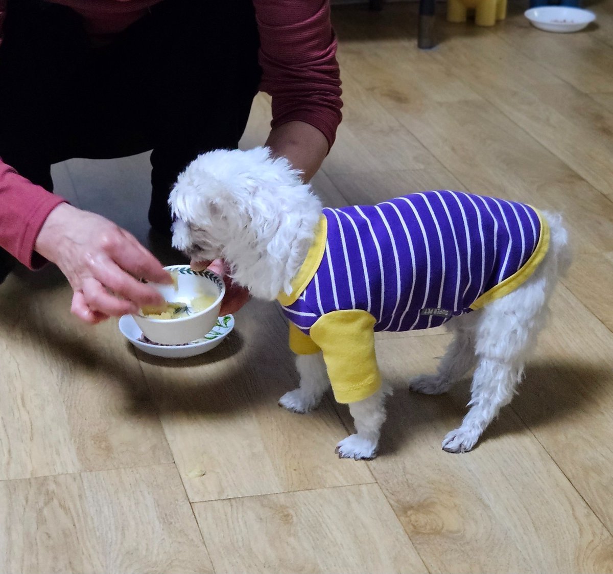 todaypopcorn's tweet photo. 요샌 사과도 갈아먹어요 https://t.co/nSRbUGaAF1