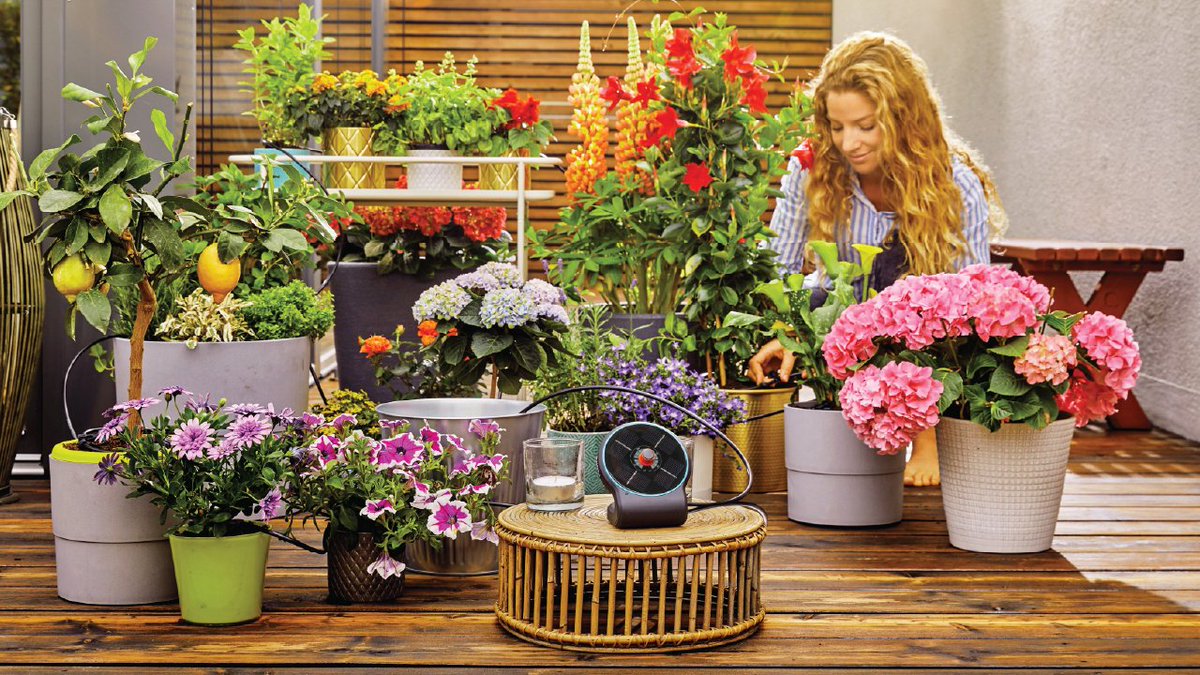 SPONSORED | Vacations are for relaxation, but leaving your cherished houseplants unattended can be stressful.

With the right preparation and GARDENA’s innovative tools, you can ensure your plants stay healthy while you’re away: gardenandhome.co.za/whats-new/how-…