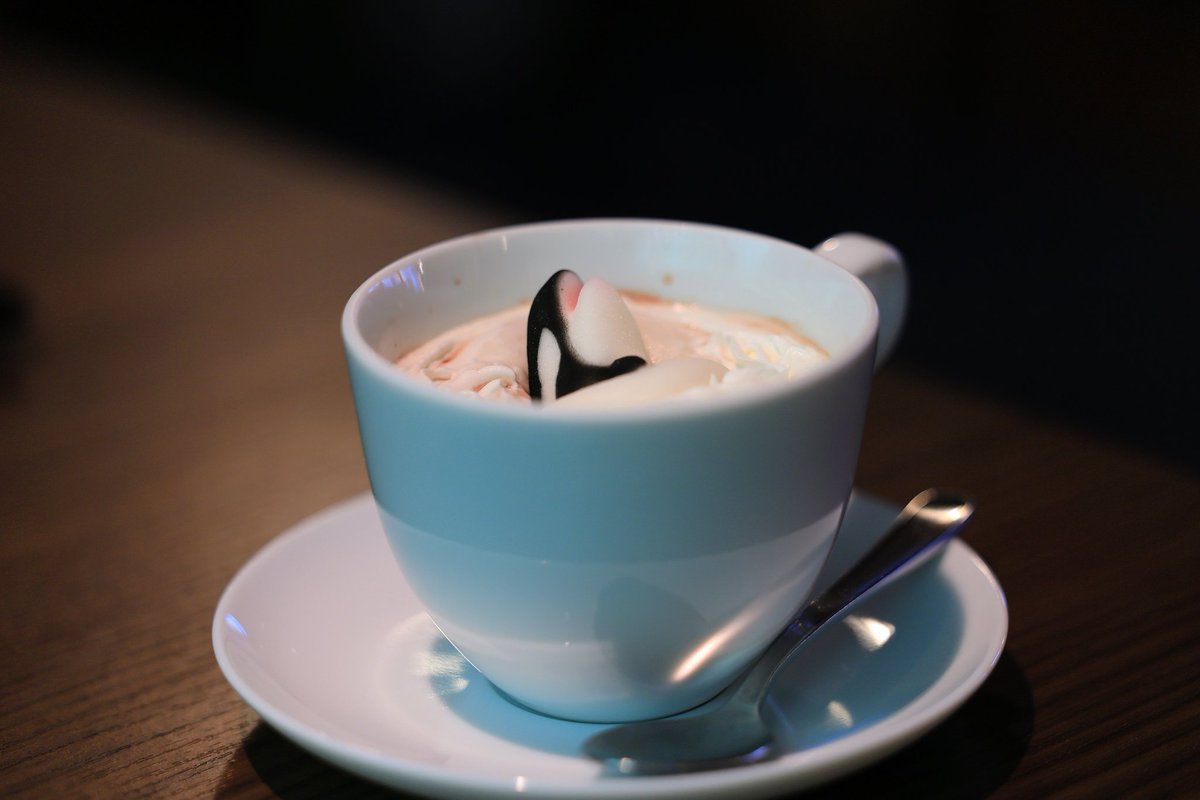 おっ、コレは！！！

#シャチ
#名古屋港水族館
#アリバダ