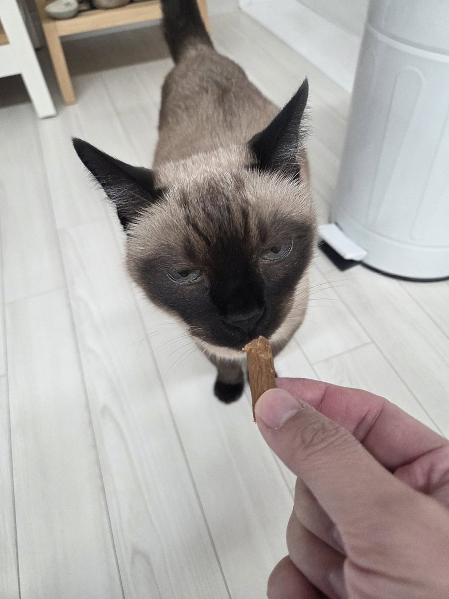 numocoinミ☆🅝🅤🅜🅞🅡🅞.🅘🅞☆彡비트코인 익명성.xhy