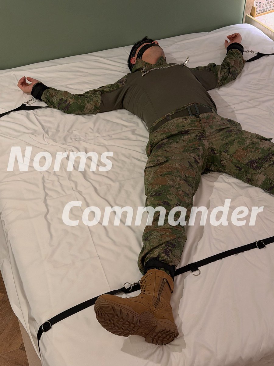 NormsCommander's tweet image. 卸甲