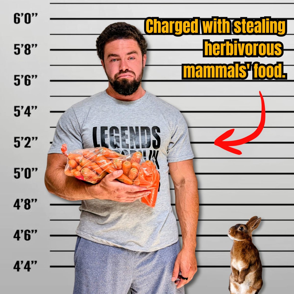 Hans Amato tweet media