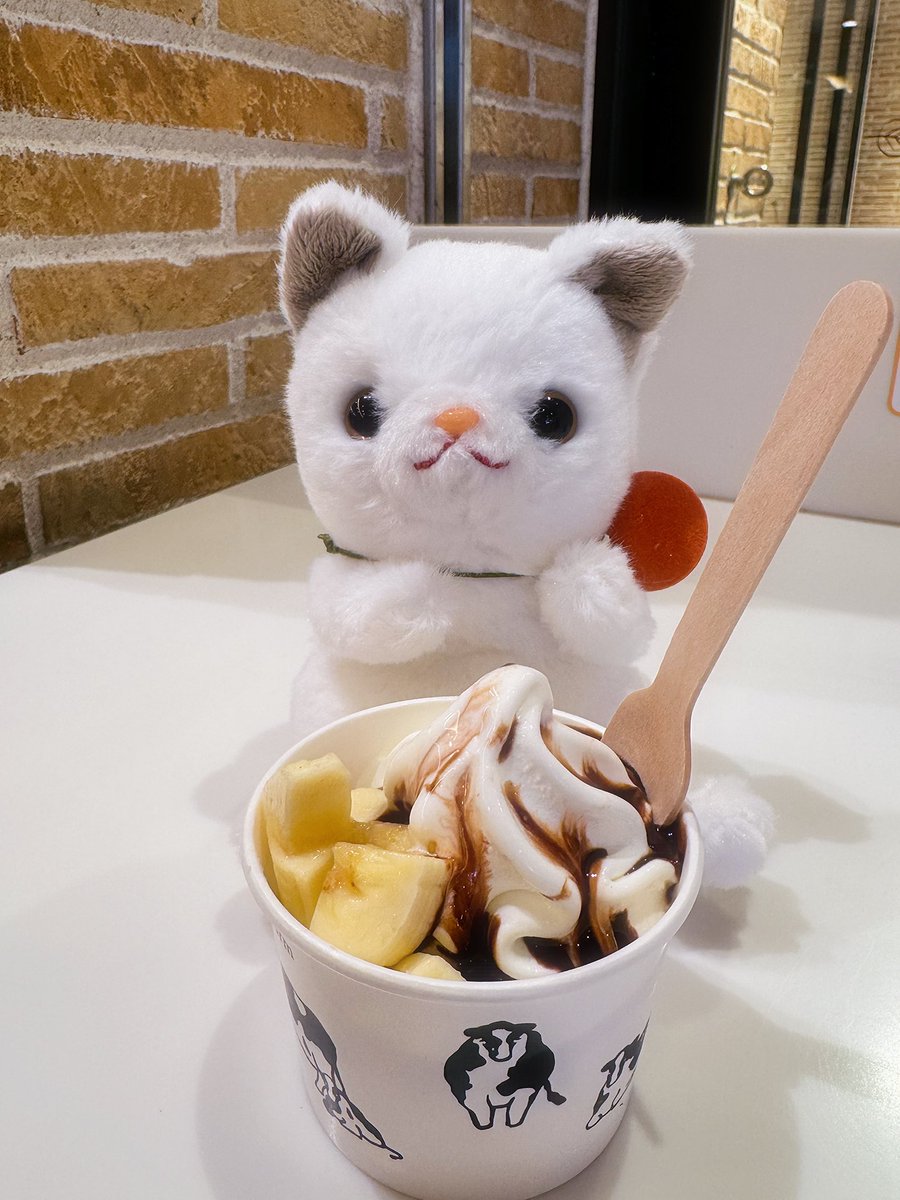 ⭐️ シロまめです まめ (@mame_3152) / Posts / X