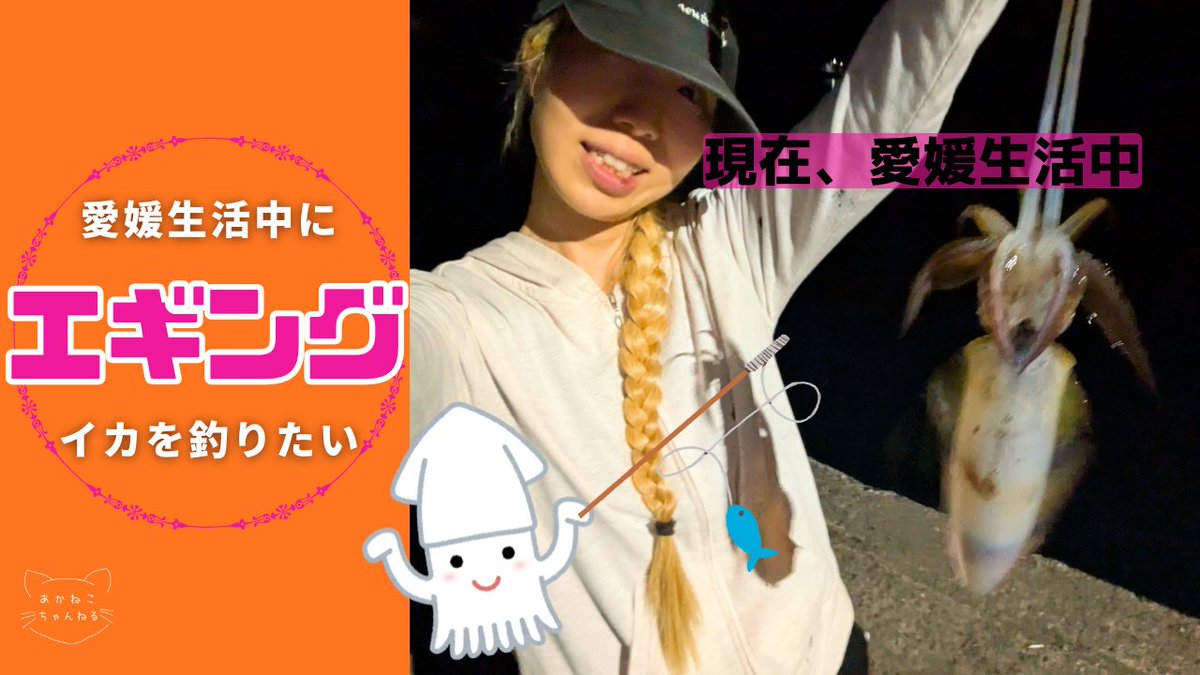 紅猫-あかねこ- (@Bl00dycat) / Posts / X