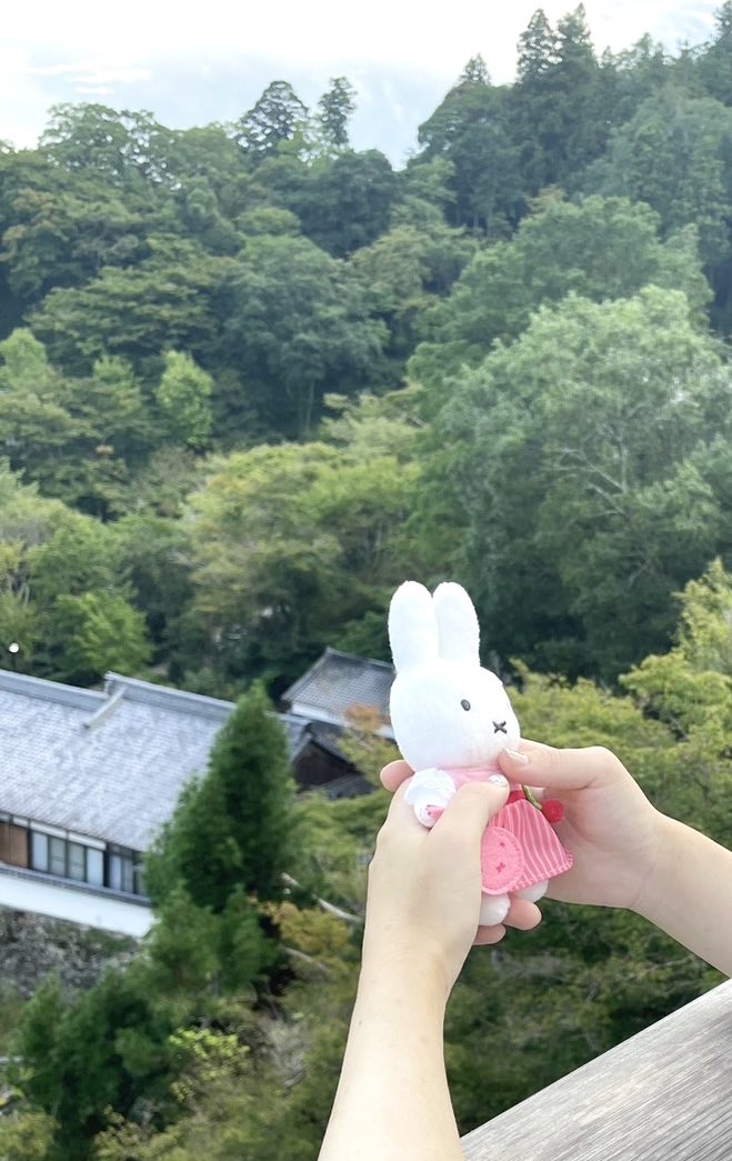 potsunip's tweet photo. ミッフィーが危険に晒されてるシリーズ見てほしい https://t.co/YVjT4stkyR