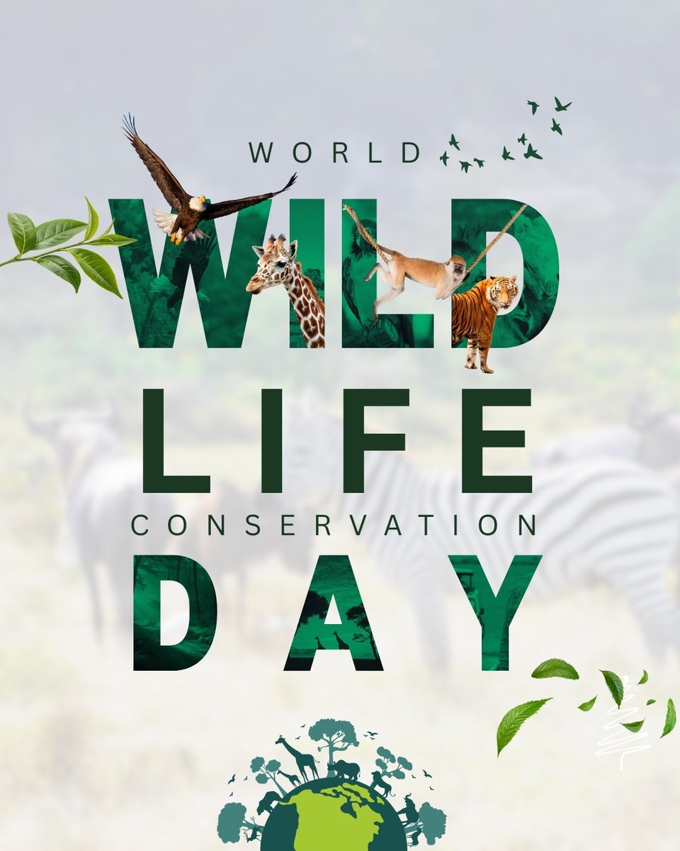 AdrianK22__'s tweet image. Lately my designs have taken on a more graphical, minimal and intentional style. Grayscale subjects, bold accents and clean shapes are giving my work that striking billboard-level look. Loving how my design identity is evolving.

#GraphicDesign #DesignJourney #BrandDesign