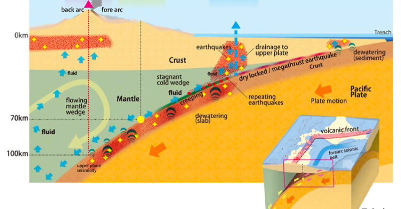 ScienceJapanJST's tweet photo. AI reveals a "fluid pathway" under Japan’s Pacific coast. The water within it can trigger shallow quakes —a key discovery for predicting future earthquakes.