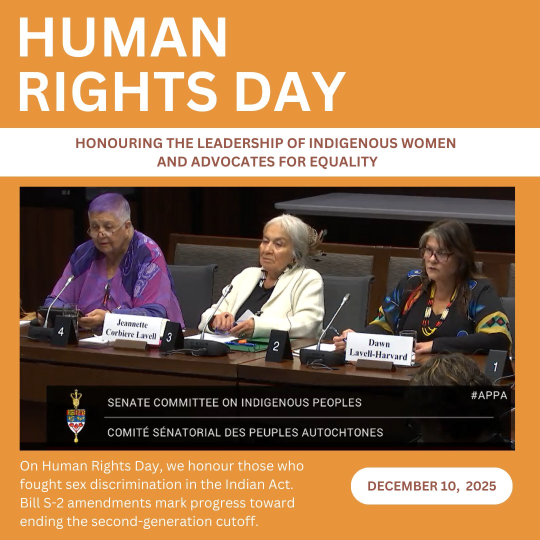 Feminist Alliance for International Action tweet media