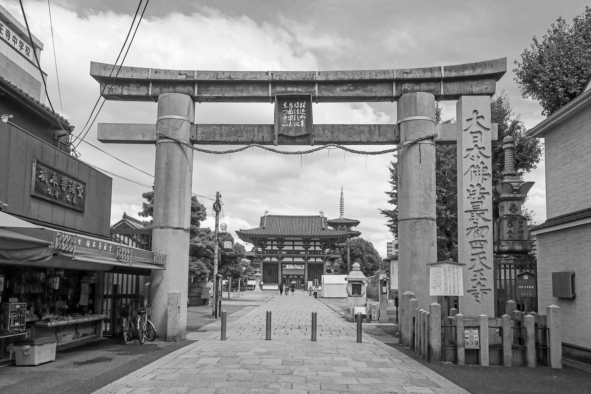 巽好幸 tweet media