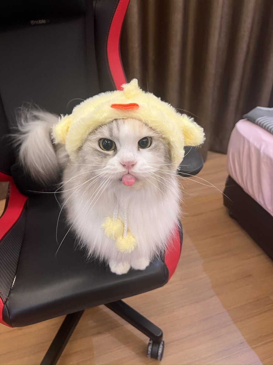 Princess Cubelita tweet media