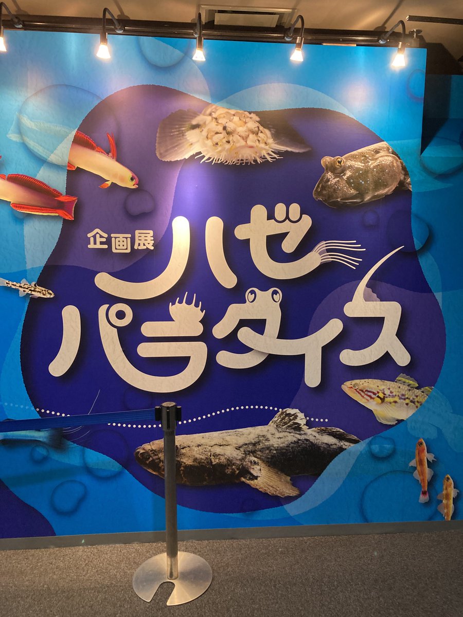 のもの tweet media