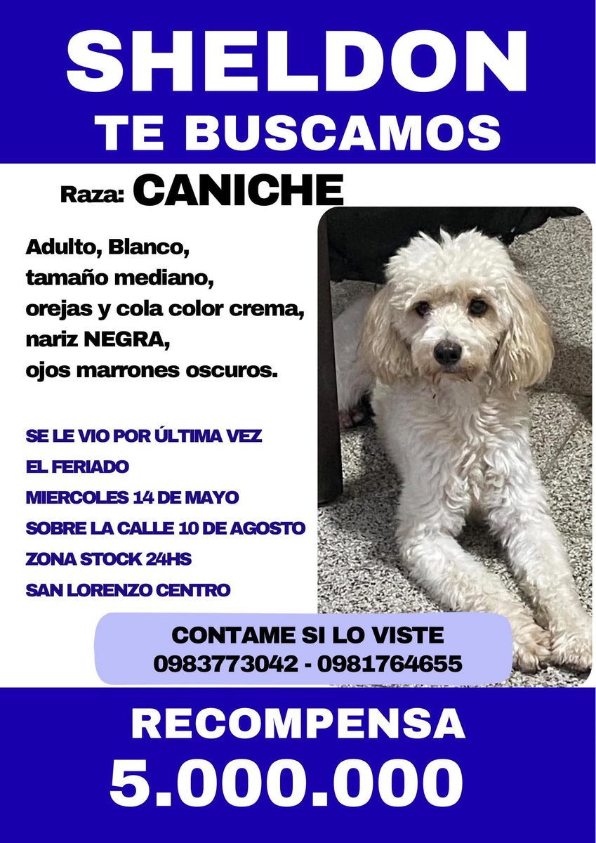 REPTZ (@ruthdemoab) on Twitter photo 