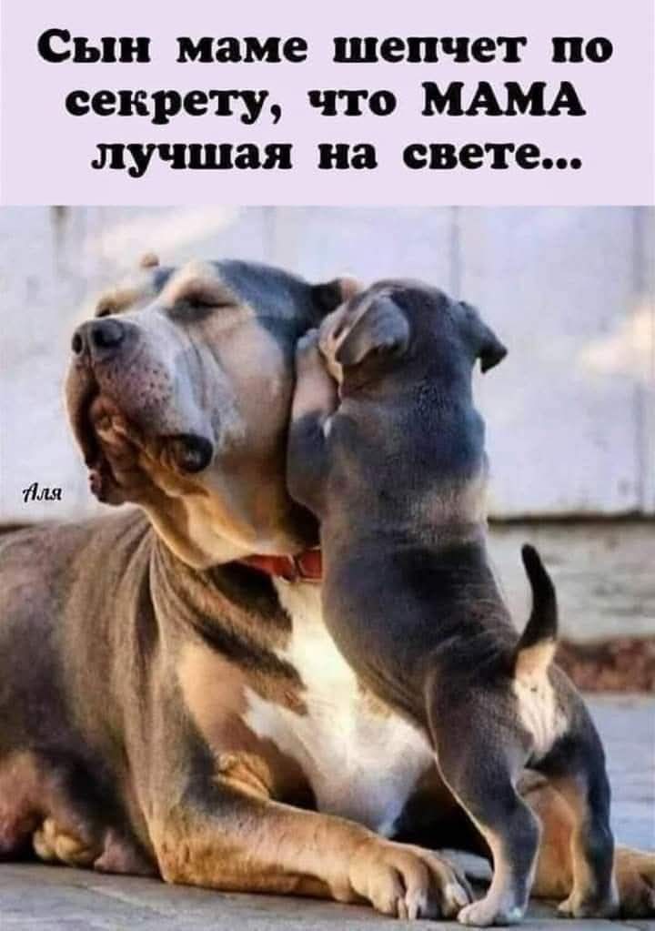 Николай Патрушев (@b_bratstvobron) on Twitter photo 