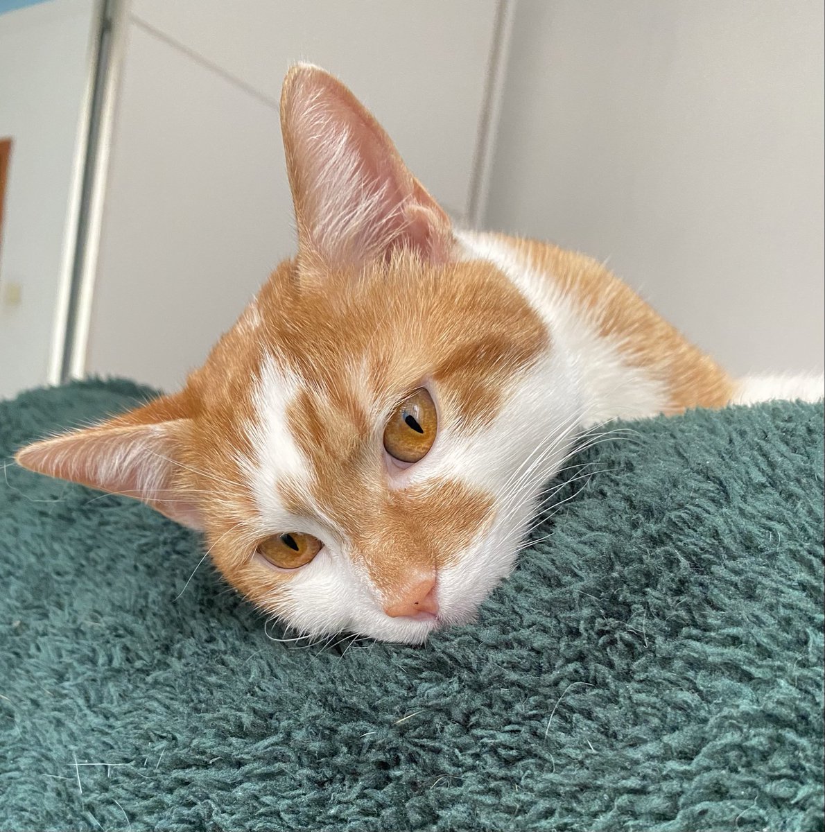 sen varken renkler vardı😔🤍