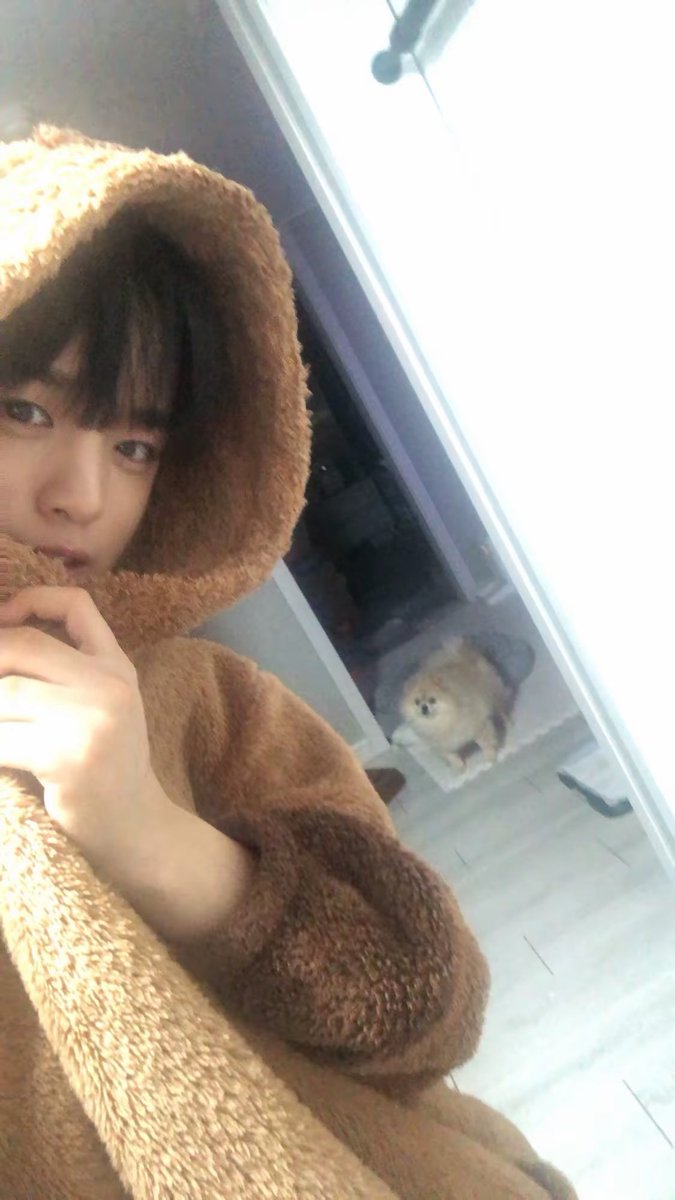 dbsehdals123's tweet photo. 뭉치 찾아라 https://t.co/h6r9b7USgi