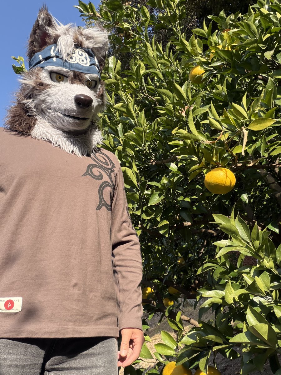 こうじ。 (@ModokiKouji) on X