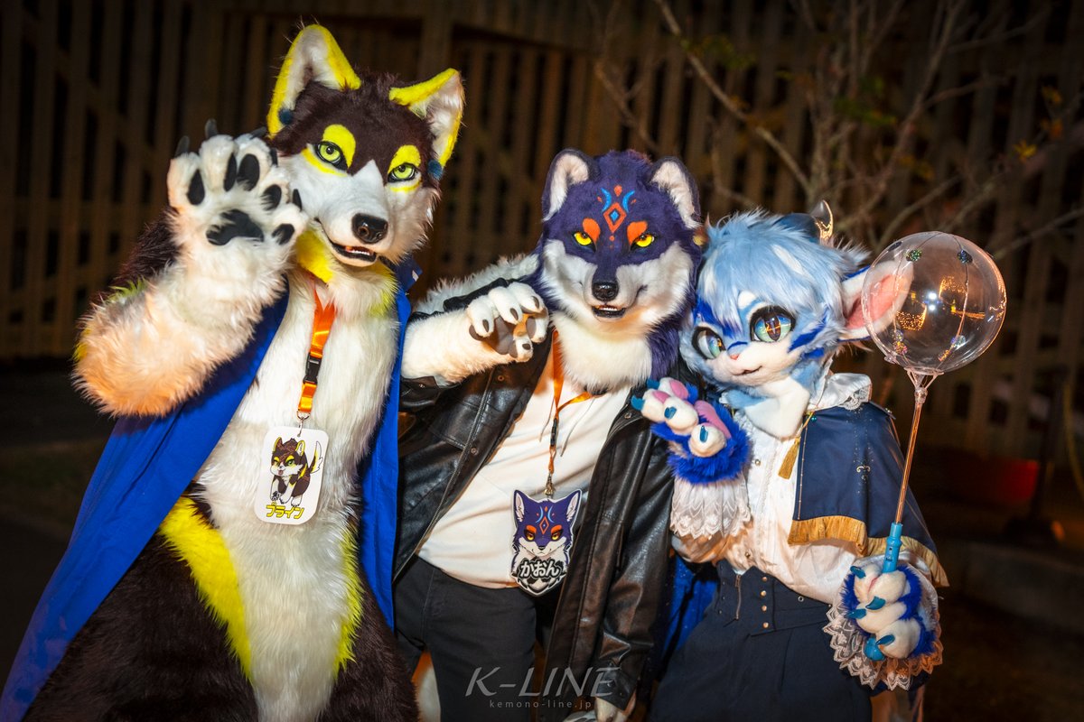 𝗞-𝗟𝗜𝗡𝗘🌌𝐉𝐌𝐨𝐅🐦‍⬛ (@Kemono_LINE) / Highlights / X