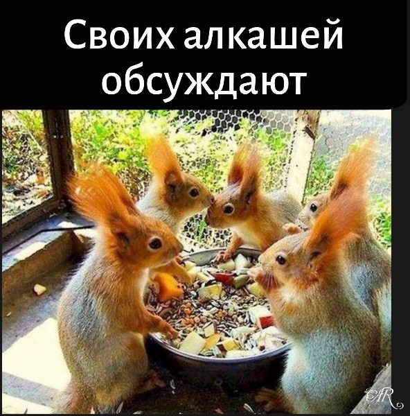 Николай Патрушев (@b_bratstvobron) on Twitter photo 