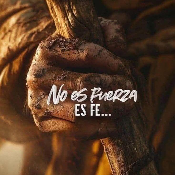 elcuradetodos's tweet photo. La fe mueve montañas. 
#VerdadSeaDicha #SoloDiosBasta https://t.co/kr9uCLcIKF