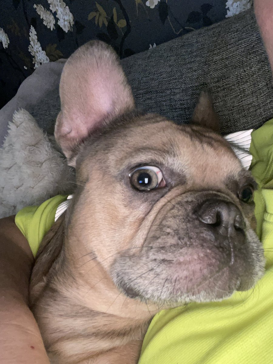 erichsen1980's tweet image. Okay lets do a thank you post! 

Il start it out like this! 

Fuck you @Skelhorn ! 

And I say that because one simple reason! 

You showed me what is possible and got me starting to think on my own life and what I do and what I can improve on! 

You also showed me something…