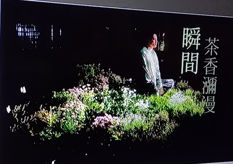 因みに…滞在中にTVで紫耀くんのランドリンCMに8回遭遇しました(数えた