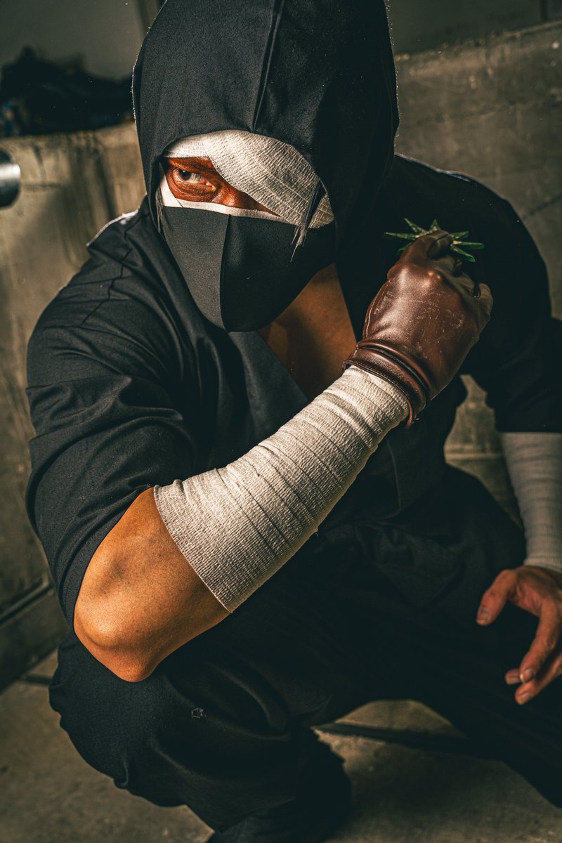 明日は忍たまの再上映を観に行きます タソガレドキ狙い