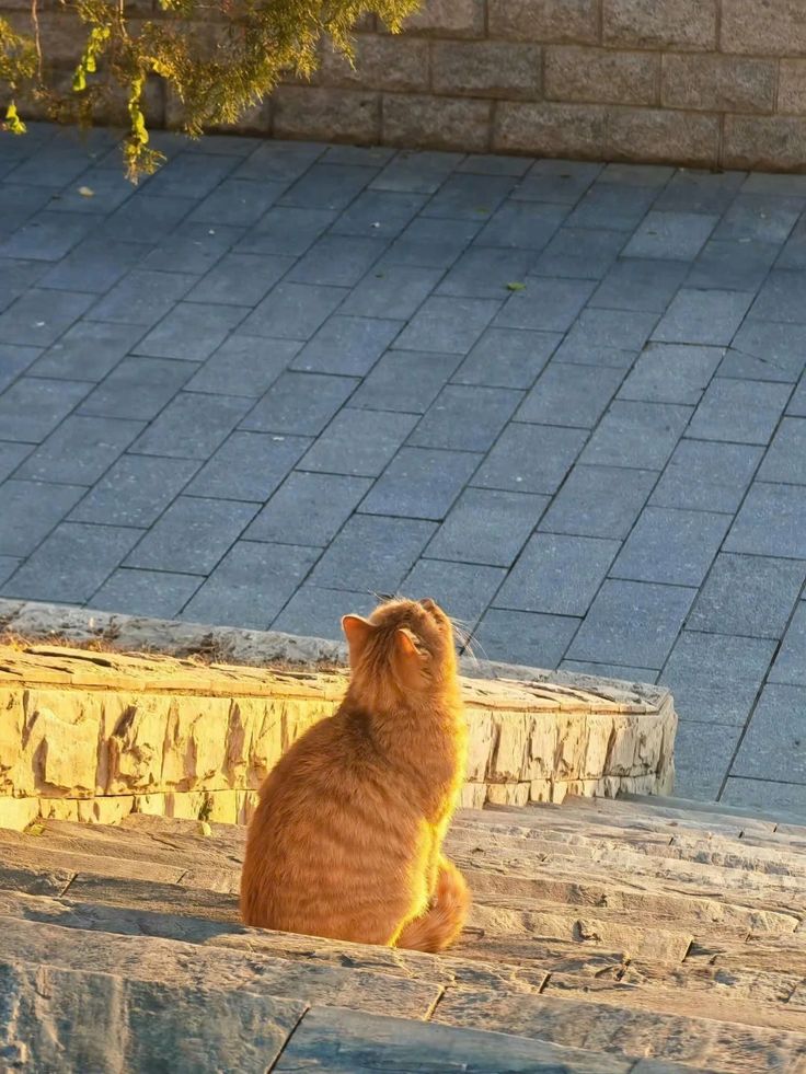 _ (@itsinful) on Twitter photo 