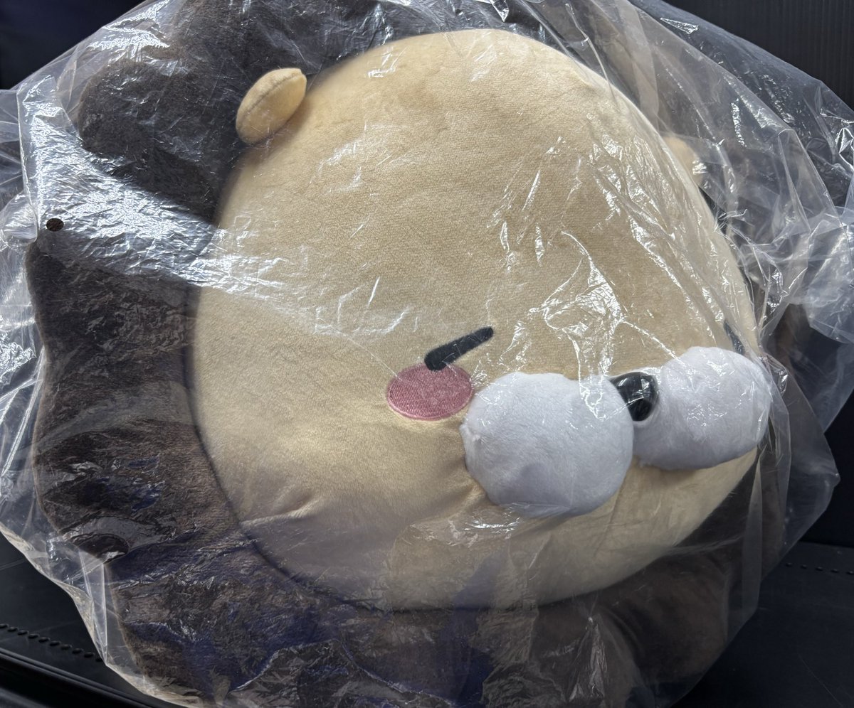 の*い様 ホロライブ えびふらいおん 超BIGぬいぐるみ 夏色まつり ホロライブ えびふらいおん 超BIGぬいぐるみ 夏色まつり - メルカリ