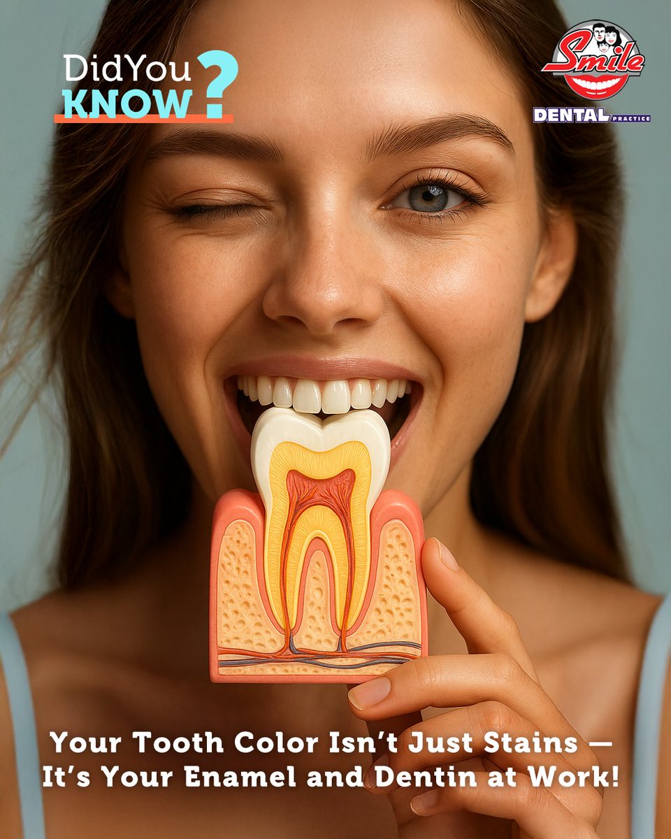 EdikHaghverdian's tweet image. 🦷✨ Did You Know? 🎨

Your #Tooth Color Isn’t Just Stains — It’s Your #Enamel and Dentin at Work! 😮✨

Thicker enamel looks whiter, thinner shows more #dentin 🧬😁.

Good #OralCare still matters: #brush daily 🪥, limit acids 🥤, and get regular cleanings.

#DidYouKnow