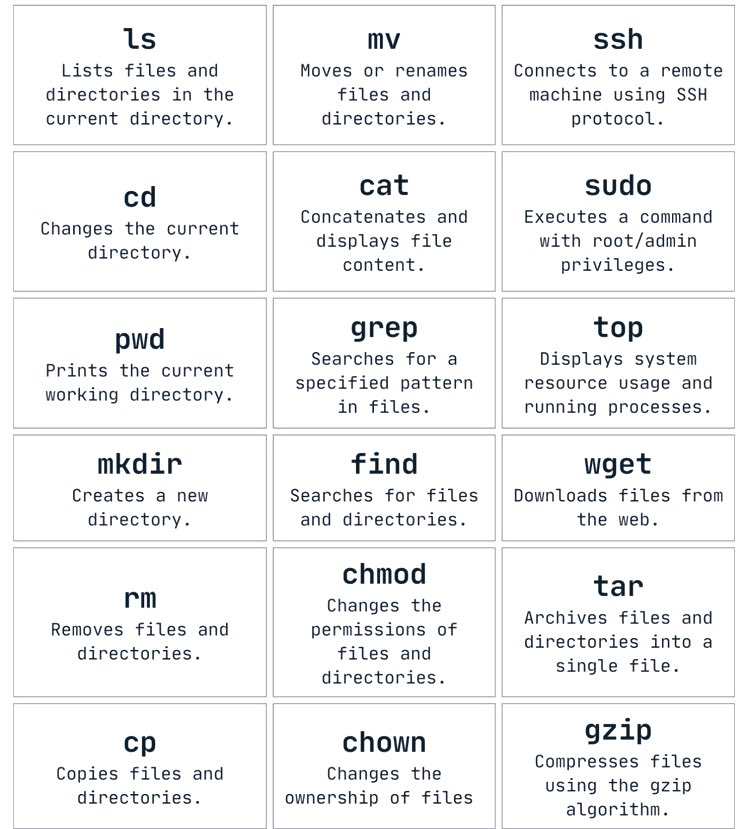 cybergirl_io's tweet photo. 18 Linux commands every cybersecurity professional and enthusiasts should know.
If you don't start learning. https://t.co/00zSOyjxs6