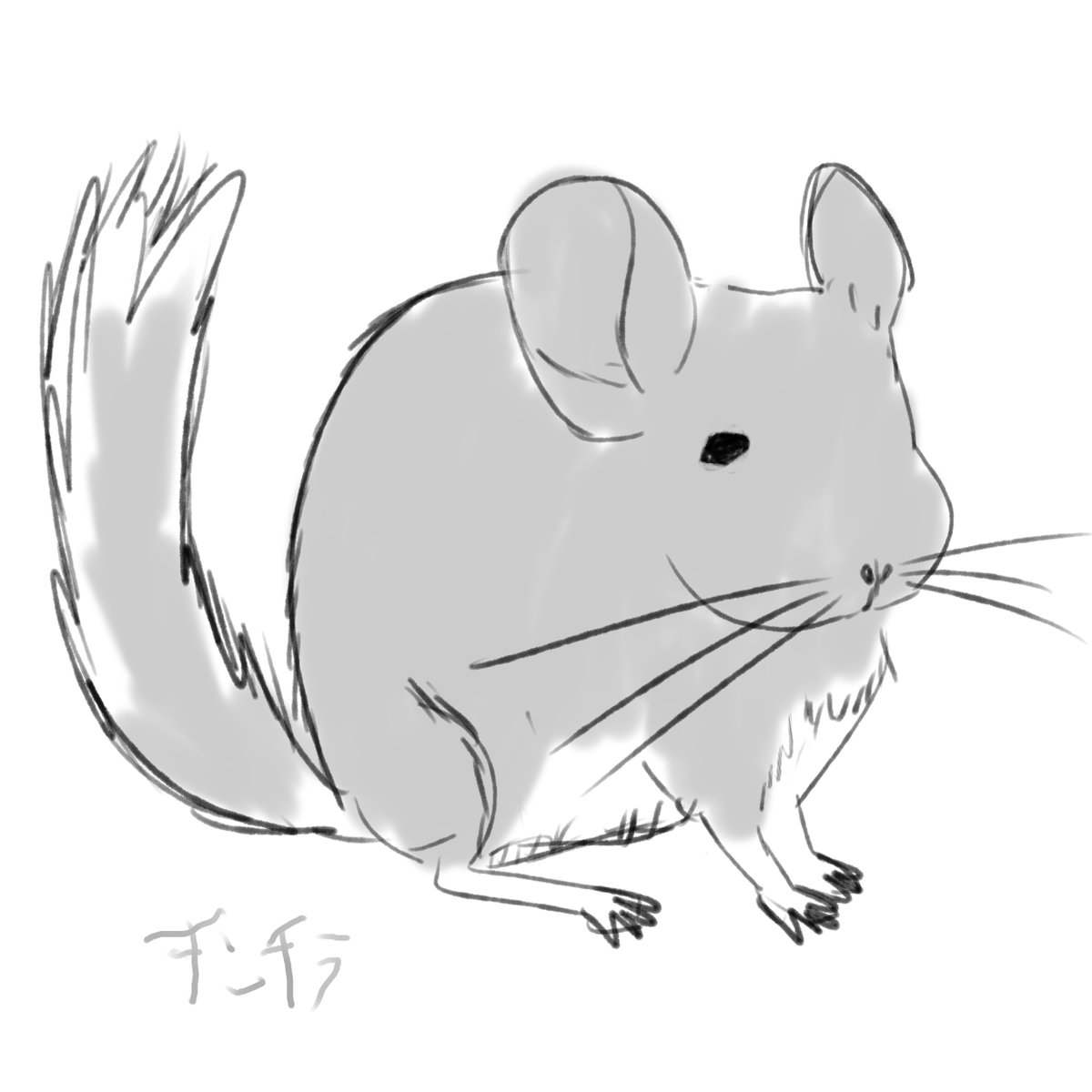 あごちゃん あごちゃん (@agochan1031) / Posts / X