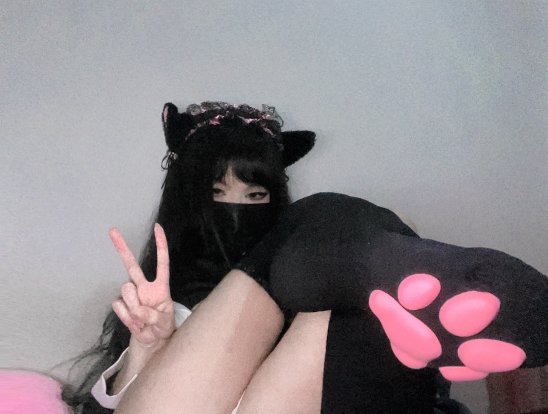 Nekocchi tweet media