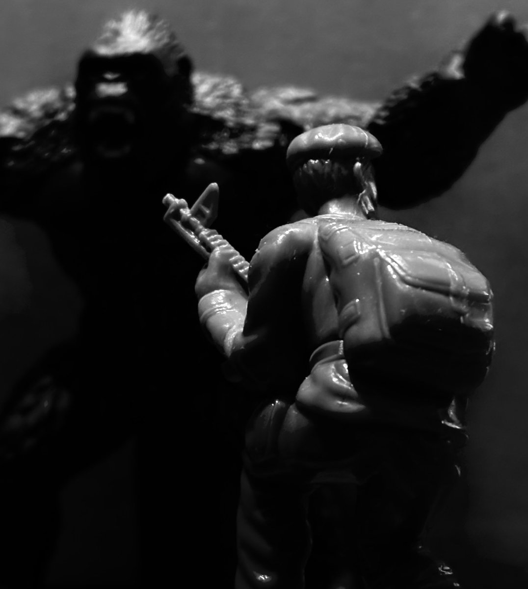 Dnasty0014Y3l's tweet image. #YellowBenjamin
#GreenArmy
#BallPython
#ボールパイソン
#YB