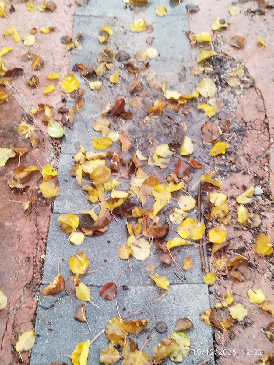 SLopezAntequera's tweet photo. Una Calle cualquiera del #PAU4  degradándose día a día por la falta de mantenimiento mientras suena la música y el #Titanic se hunde. ¡Que no pare la fiesta del gobierno del @ppmostoles y @Vox_Mostoles.! https://t.co/FShTRbfCjH