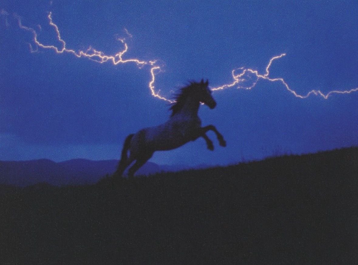 “Kendine inananın başkalarını ikna etmeye ihtiyacı yoktur.”

— Lao Tzu.