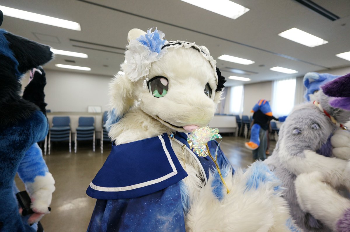 📸(<a href="/IBMPCATi386SP6a/">上下左右</a>)
#けものキャンパスII
#るくるくすいようび