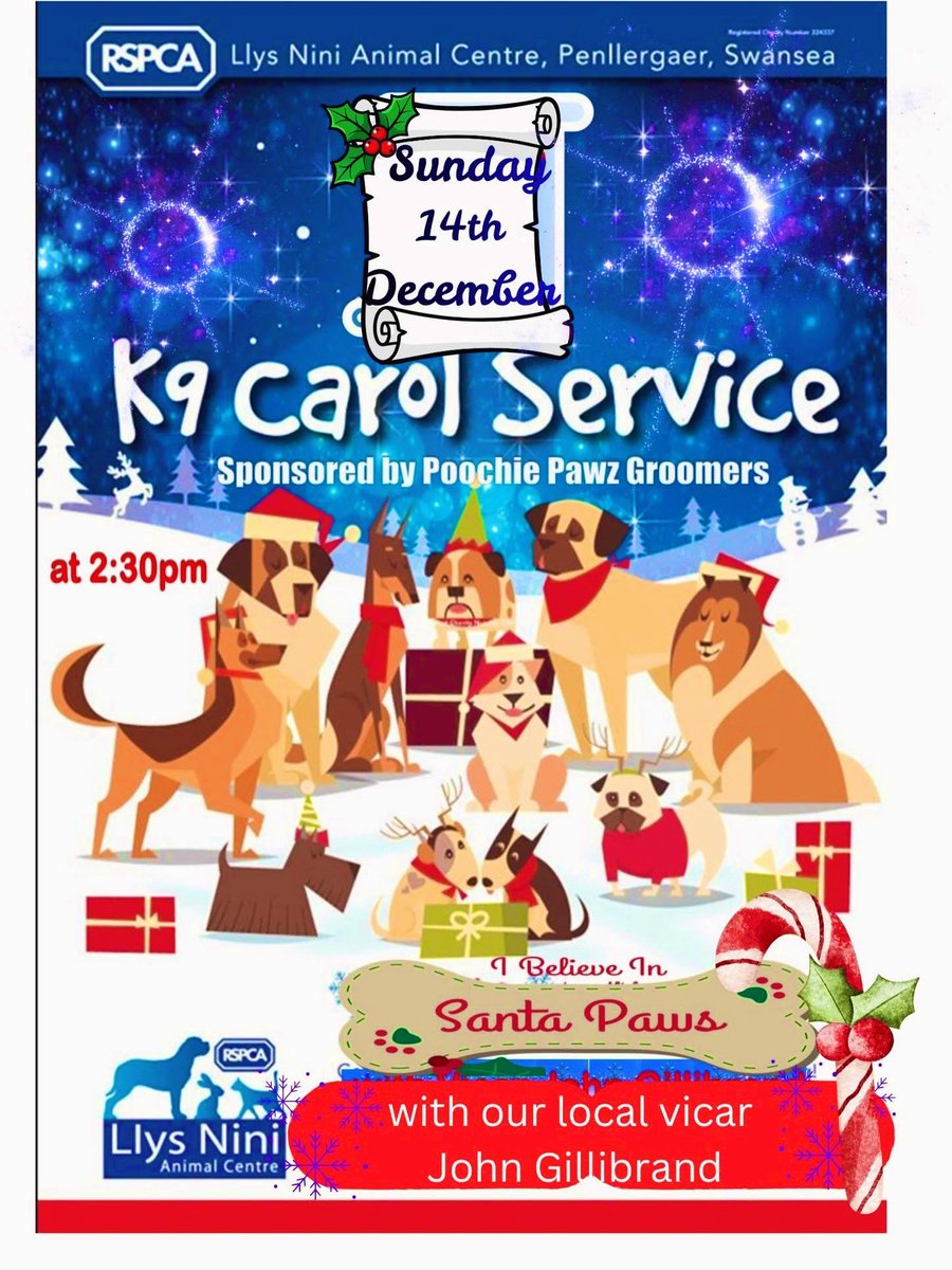 LlysNini's tweet image. Join us with your pooch for our wonderful Christmas K9 Carol Service with local Vicar John Gillibrand, Sun 14th Dec at 2:30pm. Ow yes  it’s Christmas Chaos at its best! There's a little gift for each dog. It’s free event but we kindly ask for a donation on the day. @WalesOnline
