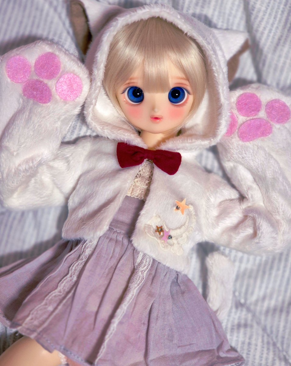 충격. 귀여움 🐱