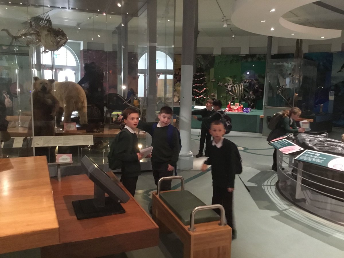 Westerton Primary tweet media