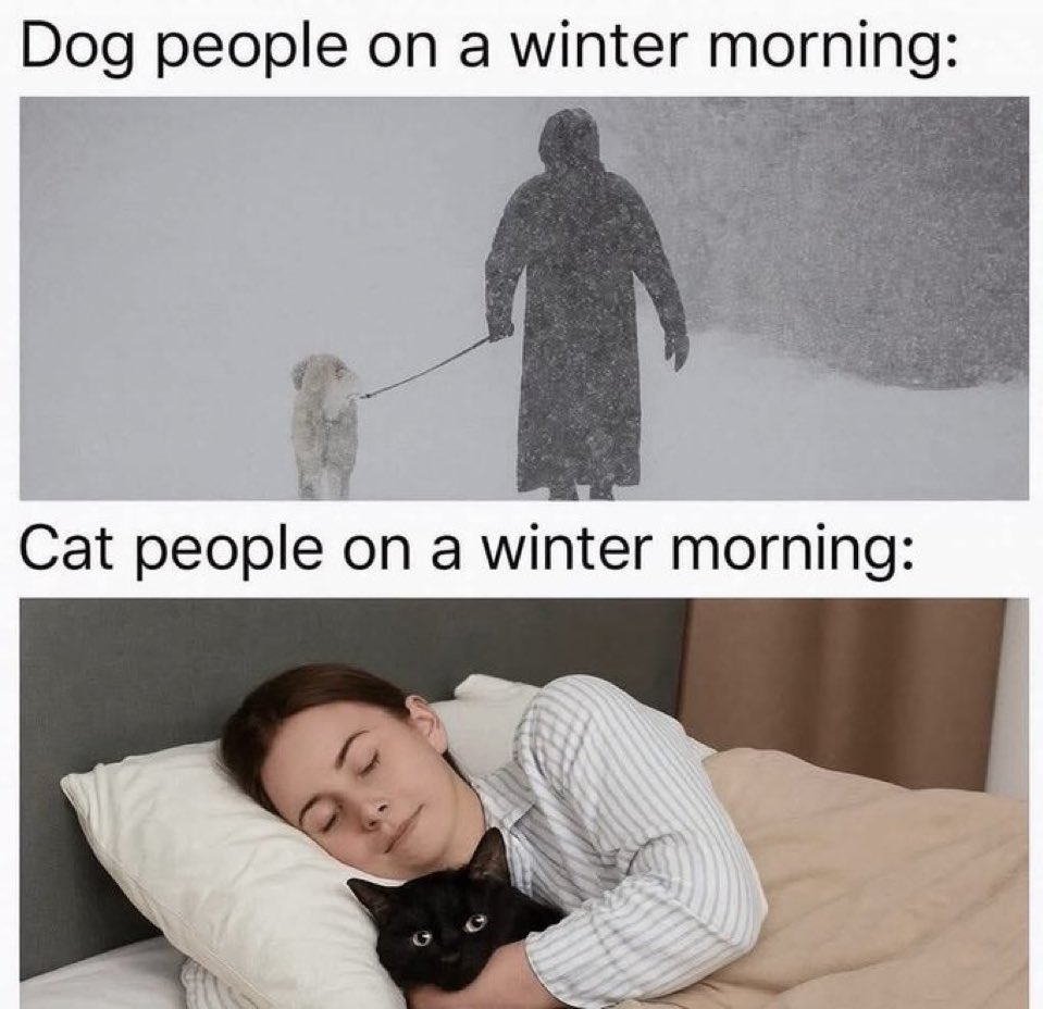 place where car shouldnt be (@carshouldnt) on Twitter photo 