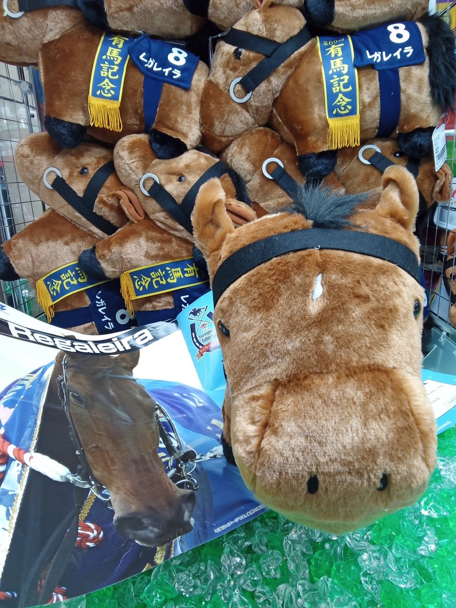  宝箱型ぬいぐるみ 🌟景品入荷情報🌟 サラコレシリーズより新しくレガレイラ の ふわふわ