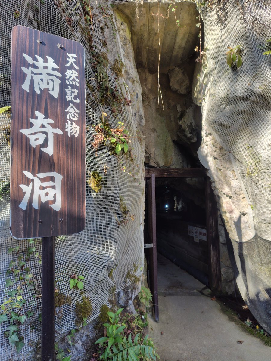 Tomoka6kobe's tweet photo. ずーっと行きたかった映画「八つ墓村」ロケ地の鍾乳洞、
岡山県の満奇洞にやっとこさ行って来たヨ🎵

コウモリも飛びまくって「ギャーーーッ❕映画のクライマックスと同んなじ🔥」とテンションＵＰ⤴️感無量やったわ✨😇 https://t.co/xA3HuwAoOK