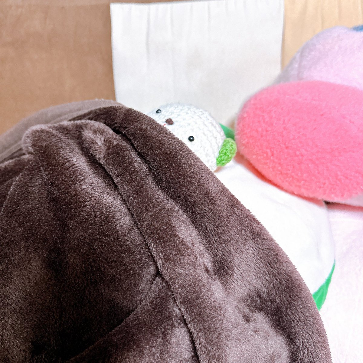 ぬくぬくくまくん