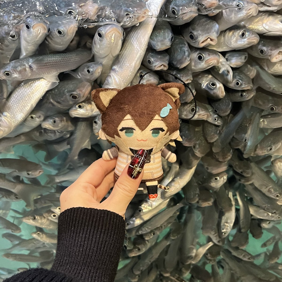 osakanaonigiri's tweet image. 餌だと思われてる