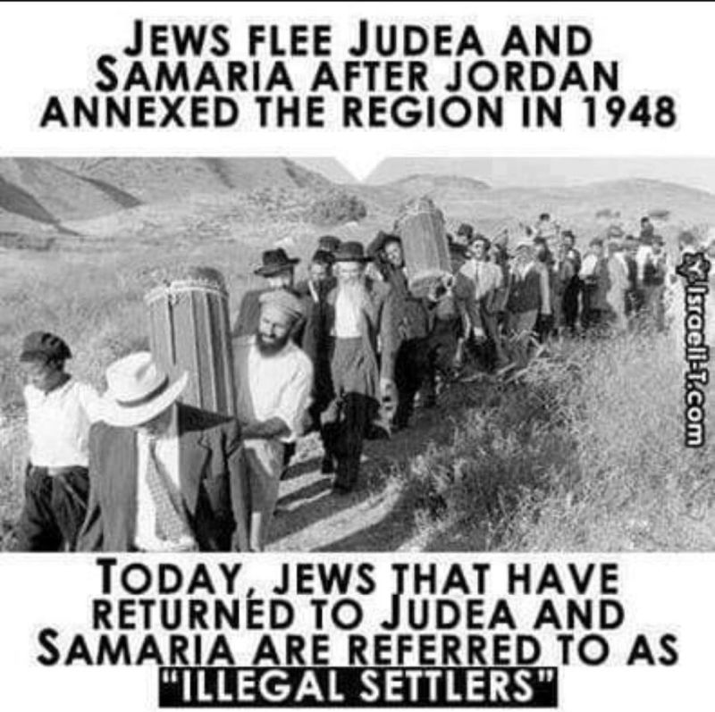 Raz TelChai (@rantswithraz) on Twitter photo 