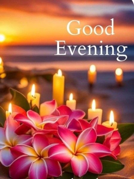 Good evening X friend Have a beautiful day